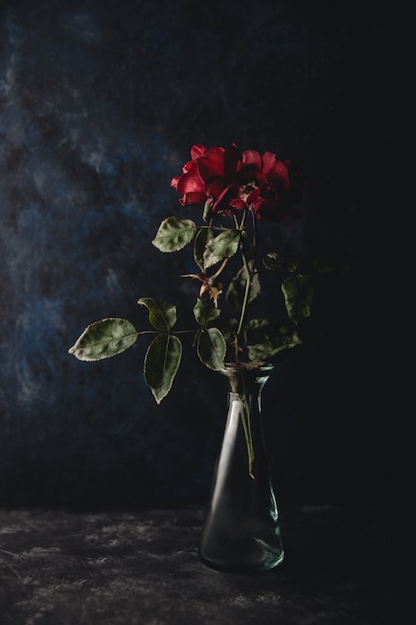 Темный и угрюмый натюрморт розы на черном фоне - цветочная фотография для смартфона