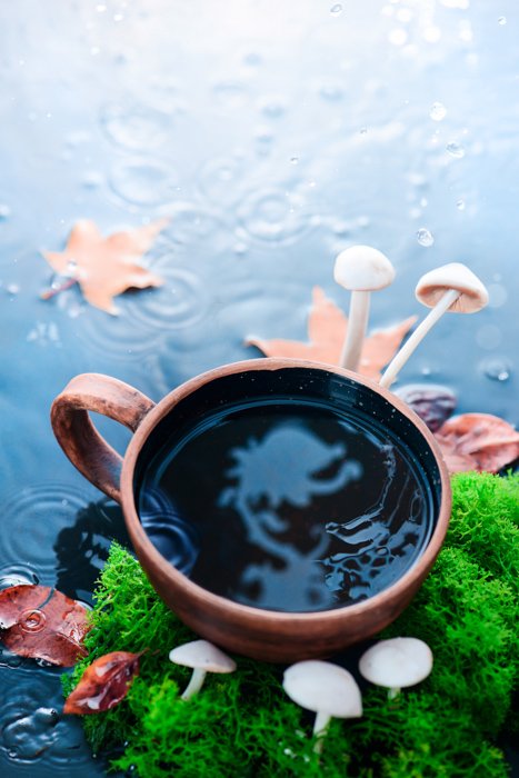 креативный натюрморт с отражением в чашке кофе