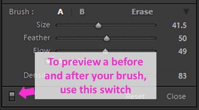 Скриншот, показывающий, как использовать инструмент Lightroom Adjustment Brush Tool