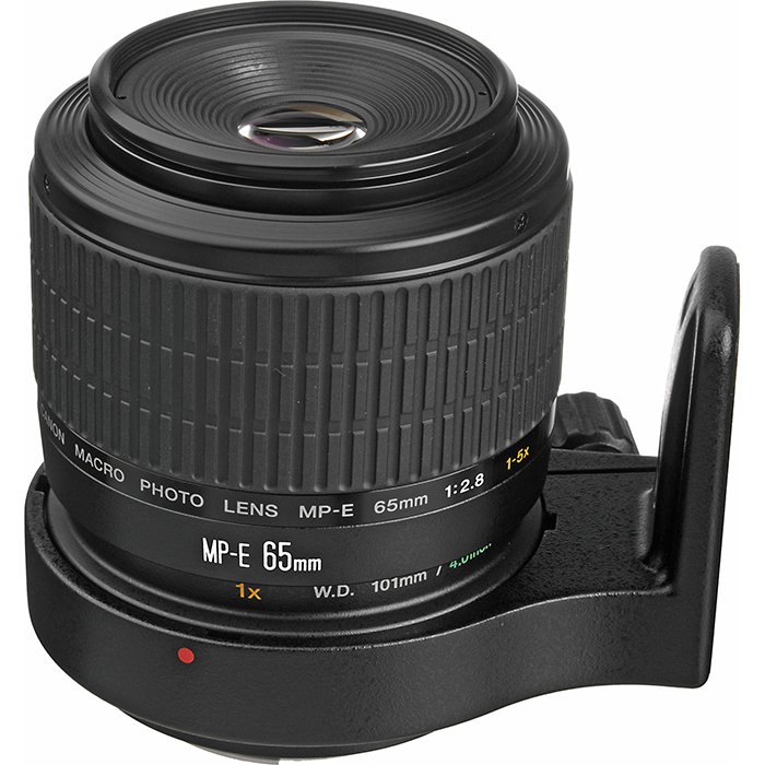 Изображение объектива Canon EF MP-E 65mm f/2.8 1-5x Macro