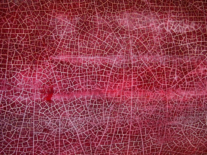 Красный фон с белыми трещинами, проходящими через него в абстрактном узоре
