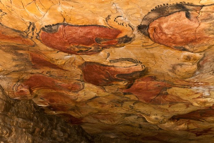Фотография наскальной живописи в пещерах Альтамира с изображением бизонов