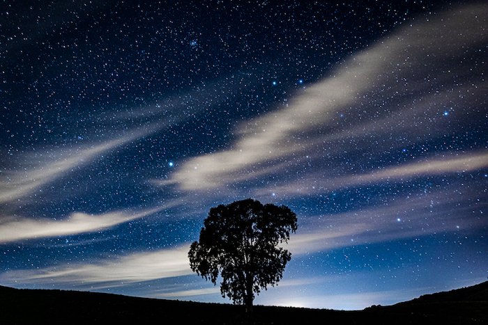 Силуэт дерева под звездным небом с использованием фотоэффектов длинной выдержки