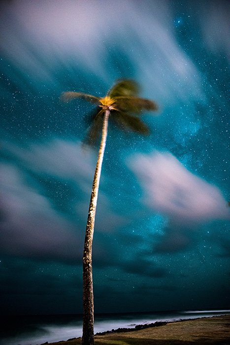 Фотография пальмы под звездным небом