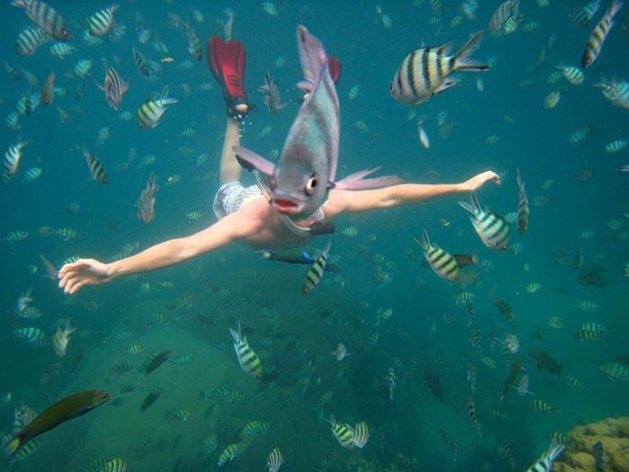 Фотография дайвера с рыбой, проплывающей перед его головой