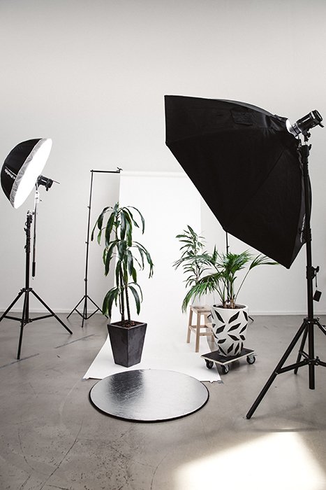 Фотография фотостудии с растениями и белым фоном