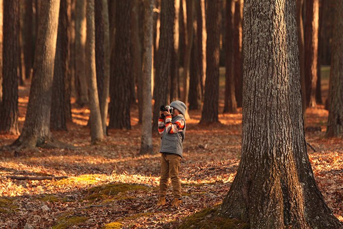 Фотография маленькой девочки, фотографирующей в лесу