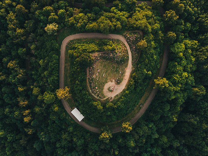 Фотография леса с дрона и спиралевидной дороги