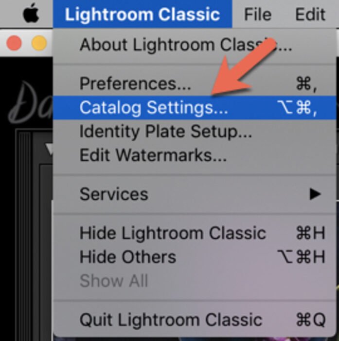 Скриншот каталога Lightroom