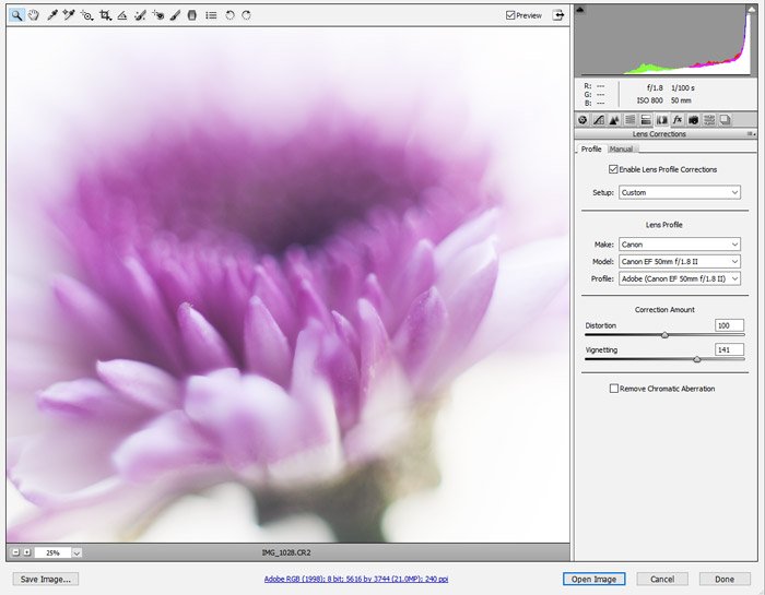 Скриншот, показывающий, как настроить виньетирование объектива на фотографии с помощью Adobe Camera RAW