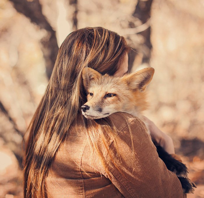 Фотография девочки, держащей лису