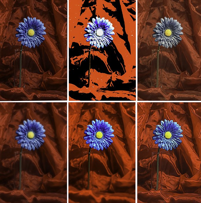 Сетка из шести фотографий одного и того же голубого цветка, подчеркивающая эффекты экспериментальной фотографии - постеризацию, ретро, мягкий фокус, миниатюру и иллюстрацию.