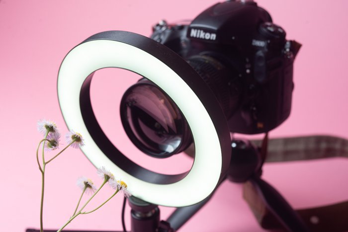 Камера с установленным макрофильтром делает снимок цветка
