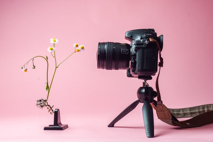 Фотография зеркальной камеры на штативе с использованием фильтров для съемки цветка крупным планом