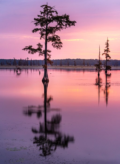 Уравновешенная композиция: Безмятежный вид деревьев на озеро на закате