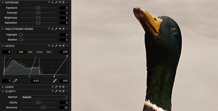 Скриншот повышения резкости фотографии утки в Capture One