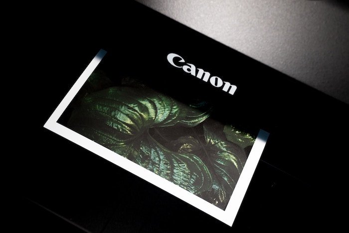 Принтер Canon печатает фото
