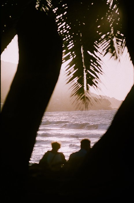 Пляжная сцена, снятая через силуэт деревьев