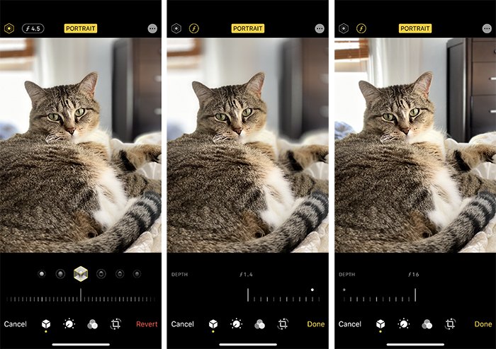 Триптих портрет кошки с использованием iPhone при f/4.5, f/1.4 и f/16.