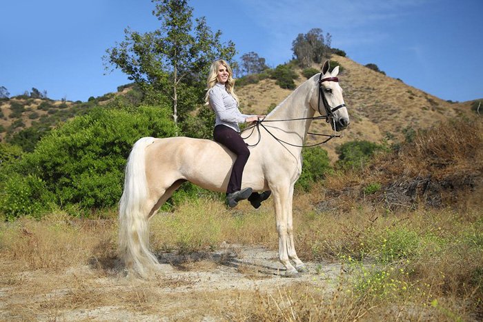 Женщина, сидящая на белом коне на открытом воздухе