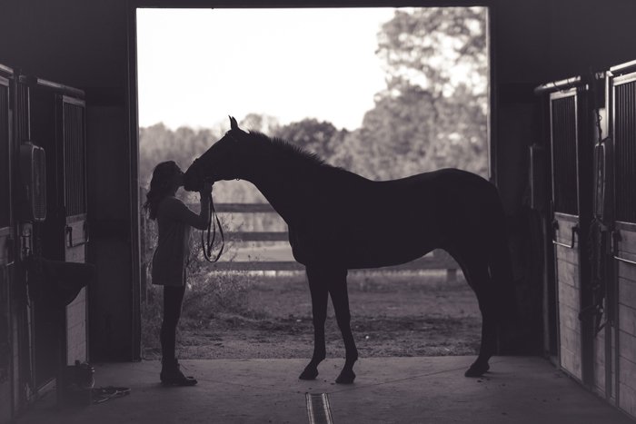 Силуэт женщины, целующей лошадь