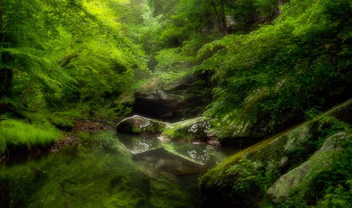 Фотография небольшого озера в лесу с эффектом Ортона