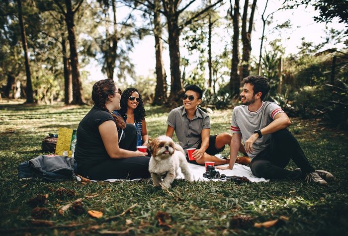 Группа из четырех друзей на пикнике в лесу