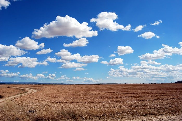 фото поля с пушистыми облаками и ярко-синим небом над головой