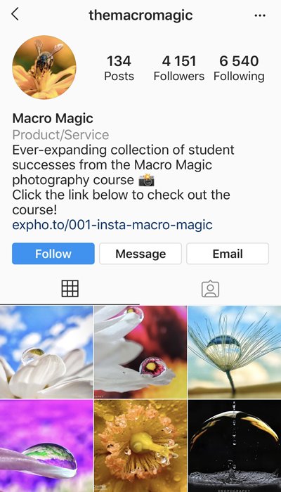 Скриншот страницы photo-university macro magic Instagram