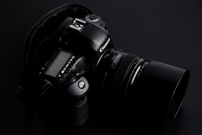 Canon DSLR fitted with Canon EF 85mm f/1.8 USM lens 