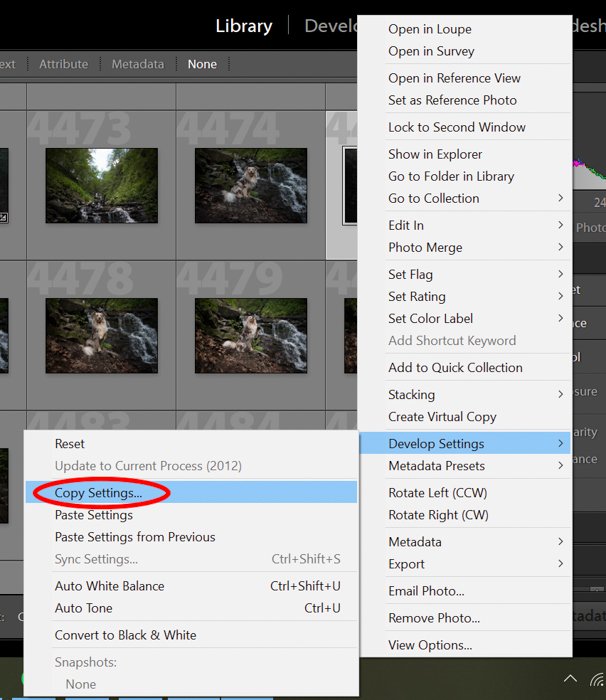 скриншот, показывающий, как копировать настройки в Lightroom при пакетном редактировании