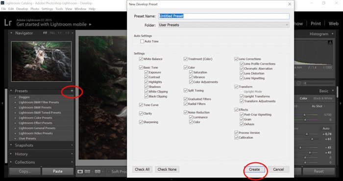 Скриншот, показывающий, как создать новый пресет для Lightroom в модуле Develop