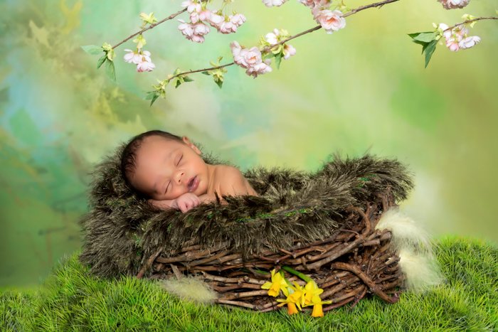 Новорожденный ребенок в корзине в окружении лесного реквизита