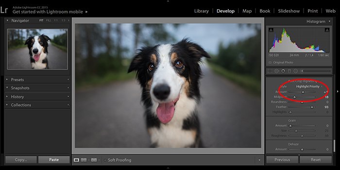 скриншот редактирования портрета собаки для удаления виньетки в Lightroom