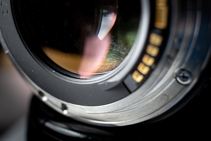 Closeup of the lens with camera lens fungus