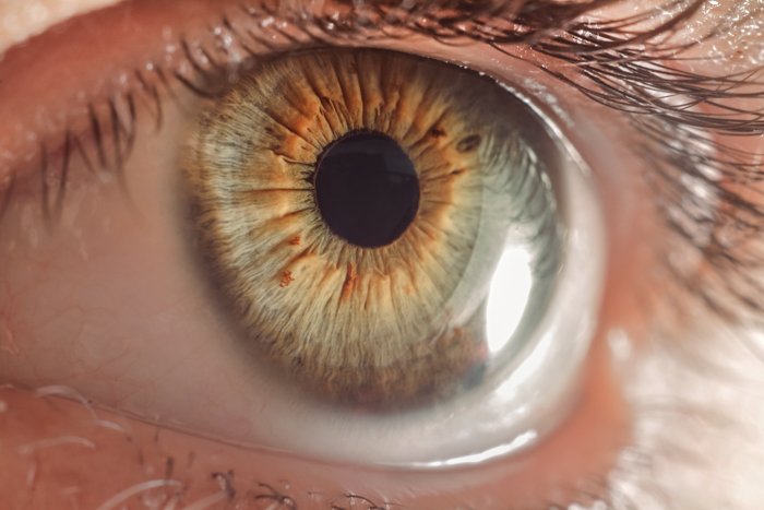 макроснимок хрусталика человеческого глаза