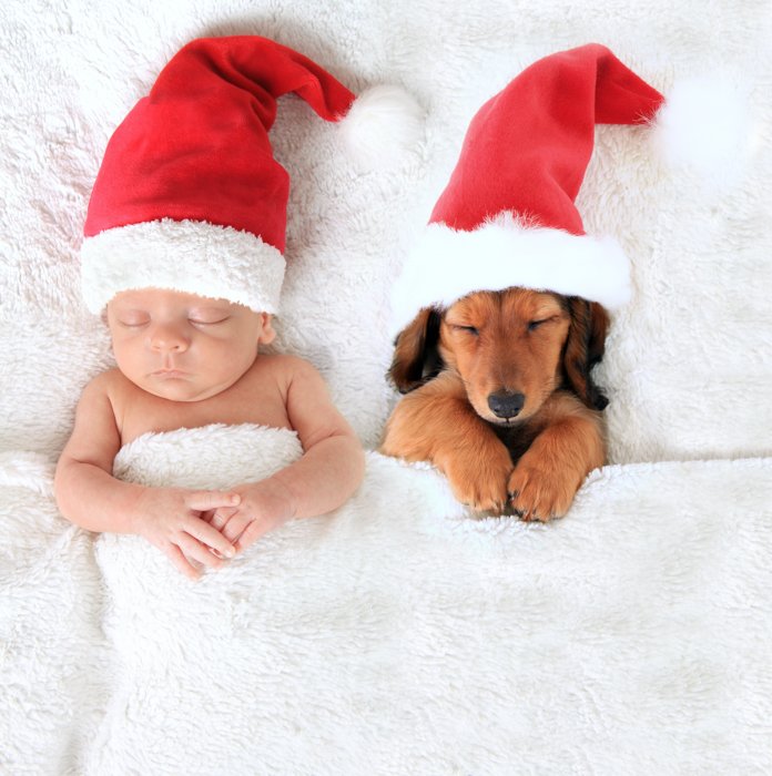 Милое рождественское фото новорожденного и собаки в шапках Санты в постели