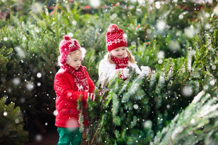 Рождественский портрет двух маленьких девочек, играющих с елкой