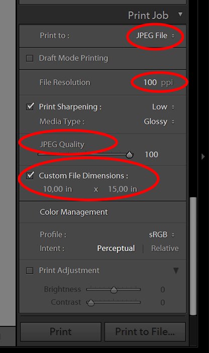 screenshot of Lightroom UI for Print Job settings