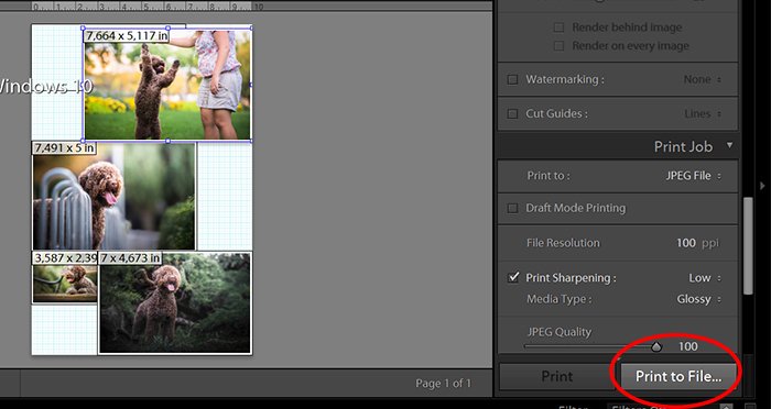 Lightroom UI screenshot of Print to File...