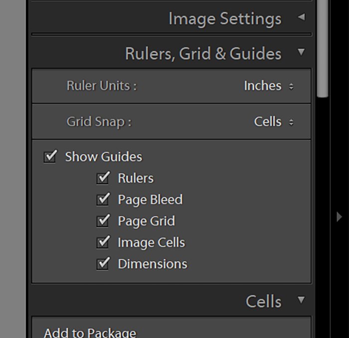 screenshot of Lightroom UI of Rules, Grid & Guides