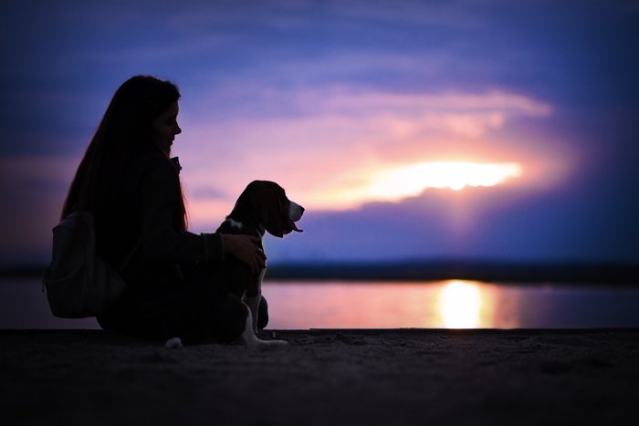 Классная силуэтная фотография девушки и собаки на пляже вечером