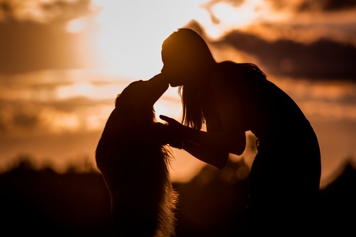 Классная силуэтная фотография девушки, целующей собаку