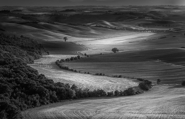 Черно-белая фотография тосканского поля