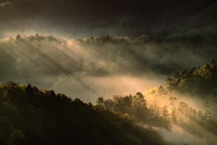 Горный туман в долине