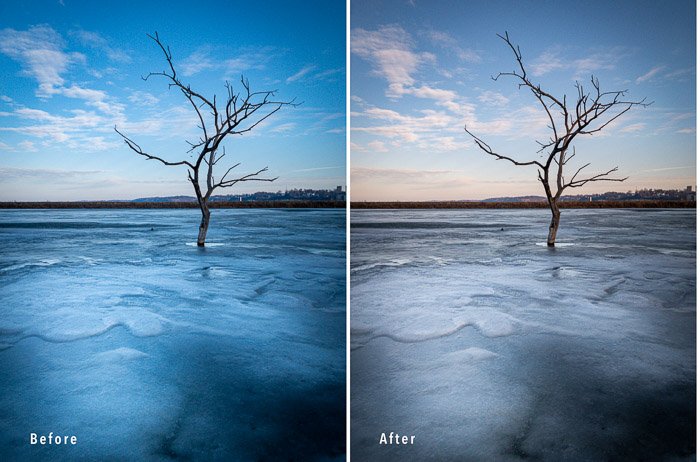 сравнительный диптих двух фотографий ледяного дерева для демонстрации цветовой температуры