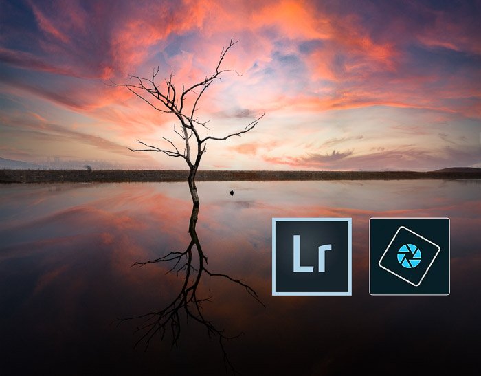 Lightroom Photoshop Elements icons tree sunset