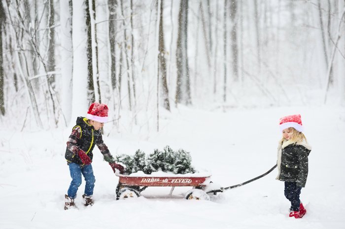 дети тянут санки по снегу