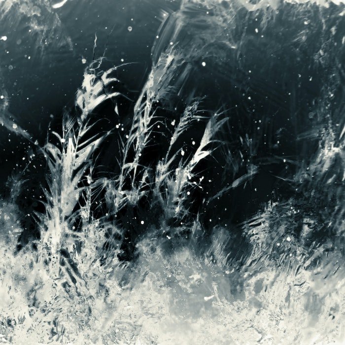 Однотонная абстрактная художественная фотография растения или инея