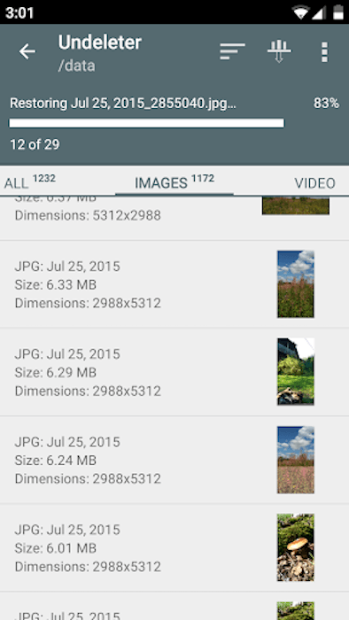 Скриншот приложения для восстановления фотографий Undeleter